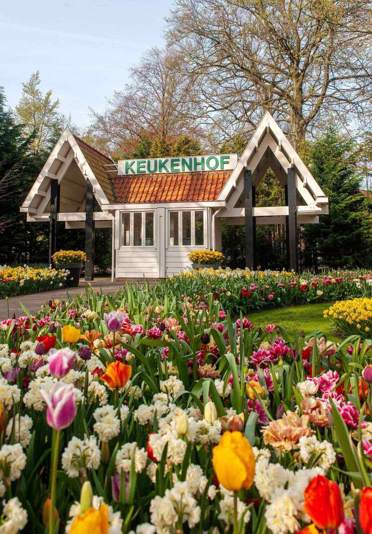 Keukenhof tuinen