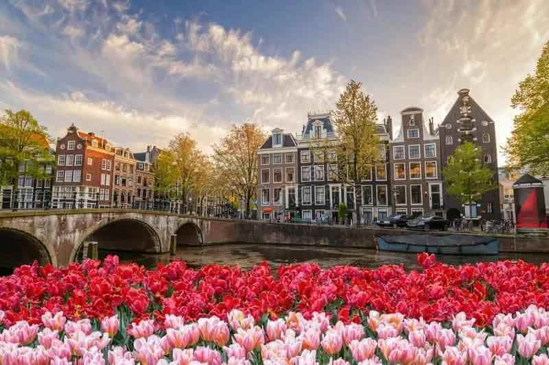 Amsterdamse gracht met bloemen