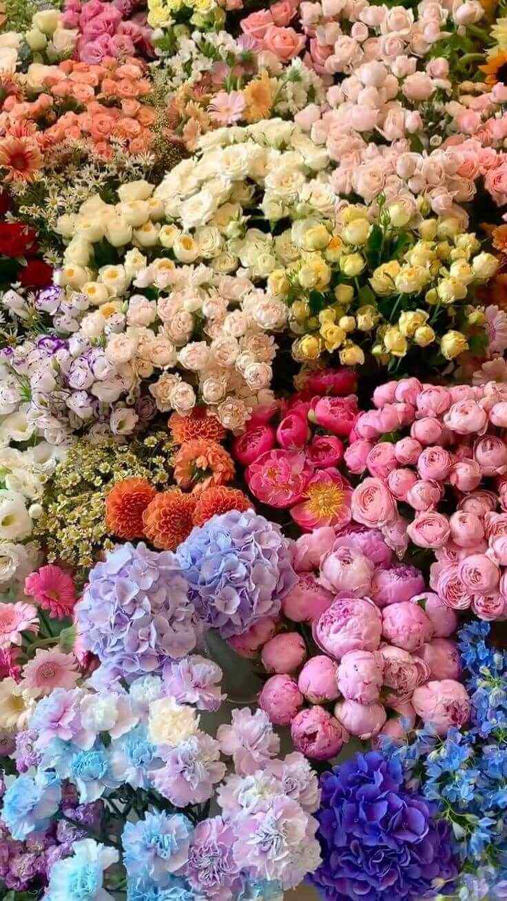 Diverse bloemenproductie