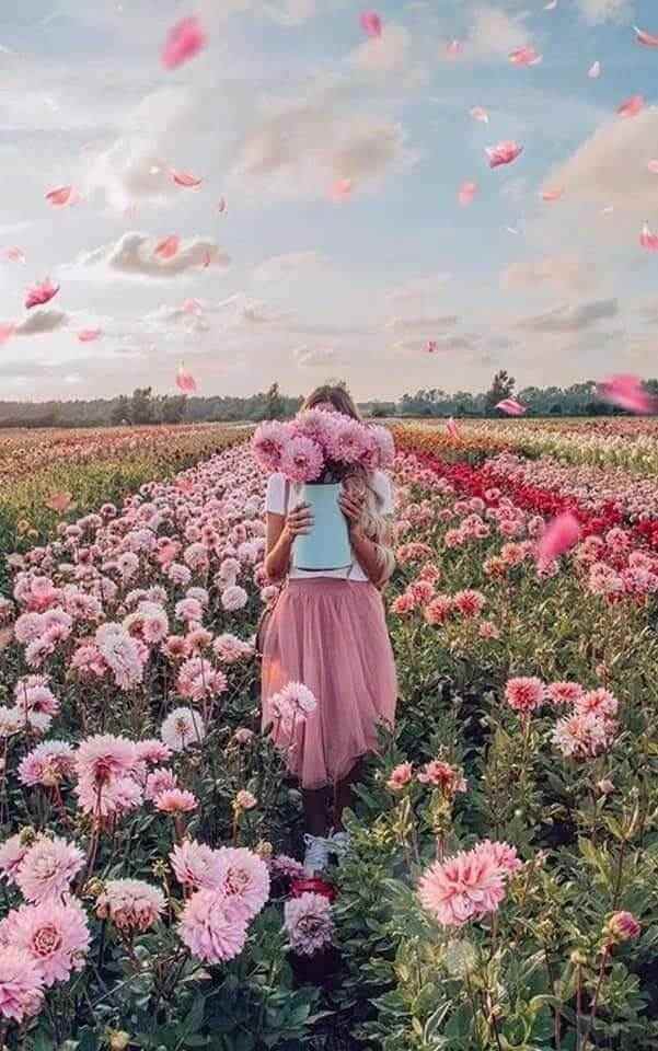 Geautomatiseerde verpakking