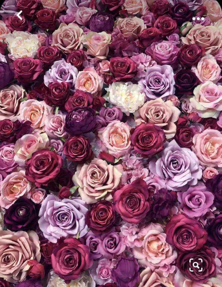 Rozenproductiefaciliteit